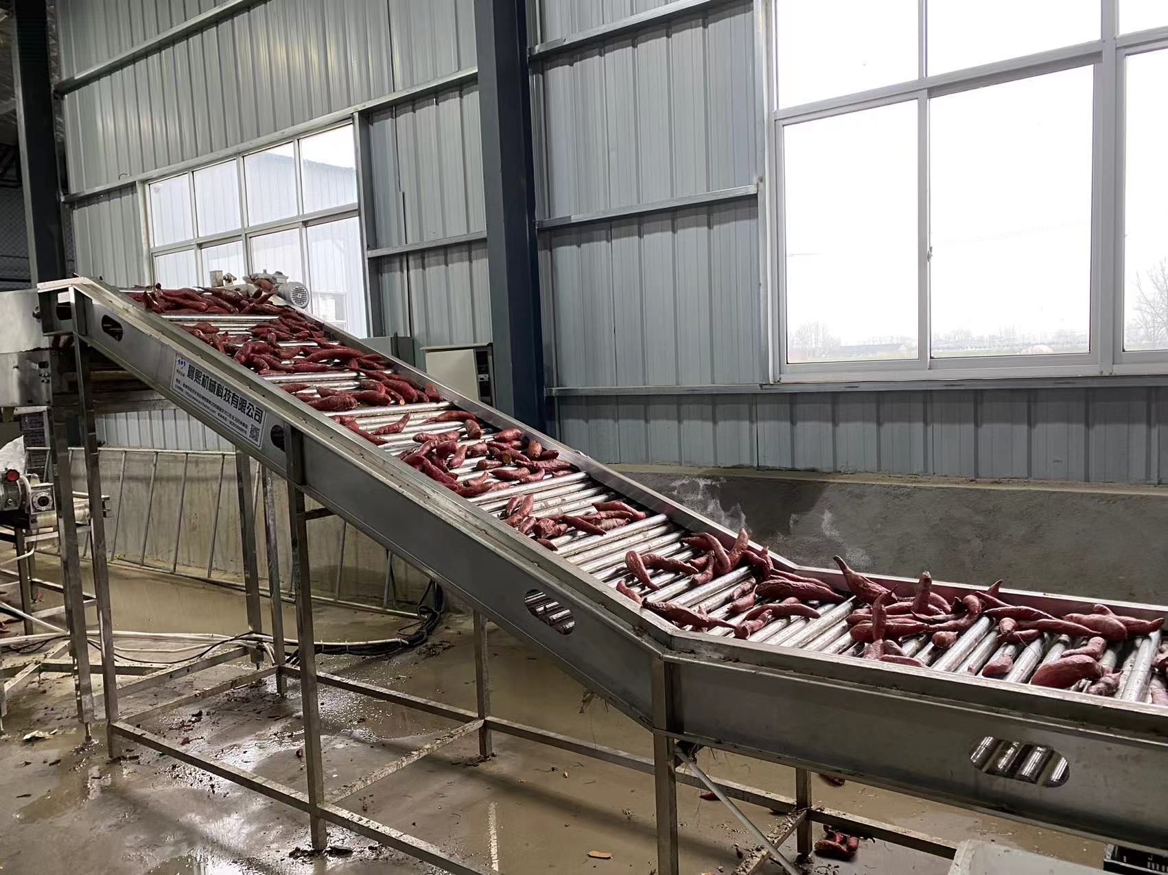 紅薯清洗愈合糖化設(shè)備提升段